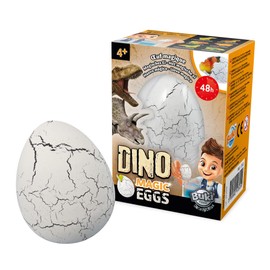 BUKI D6G Magic Dino Egg (Random Model)