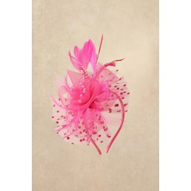 BABEYOND Fascinator Hats for Women Tea Party Hat Kentucky Fascinators Headband Derby Hats Wedding Flower Feathers Hair Clip Hot Pink