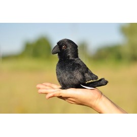 TAMMYFLYFLY Lifelike Crow Bird Plush Stuffed Animal Toy Yellow Bird Cute Animal Model 16cm