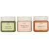 FarmHouse Fresh Quick Recovery Face Mask Sampler, 3 ct.
