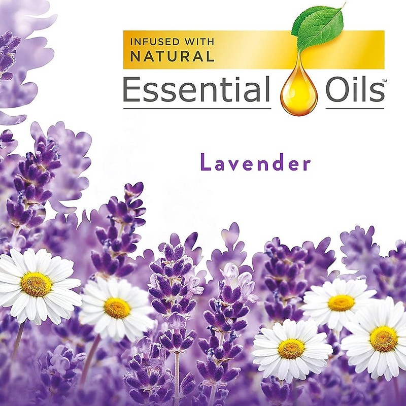 Air Wick Scented Oil Air Freshener, Lavender and Chamomile, Twin