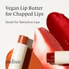 Melixir [Melixir]Vegan Lip Butter (12 colors)
