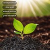 Horticultural Charcoal, Rice Husk Natural Activated Charcoal for Plants Indoor