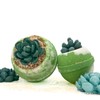Succulent Plant Bath Bomb - Size: large 10oz