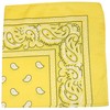 Paisley 100% Polyester Unisex Bandanas - 2 Pack