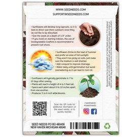 Seed Needs, Chocolate Sunflower Seeds - 40 Heirloom Seeds for Planting Helianthus annuus - Annual Flowers to Plant Outdoors, Attracts Bumblebees and Butterflies, Great as a Cut Flower (5 Packs)