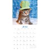 Cats in Hats 2025 Mini Calendar, 7" x 7"