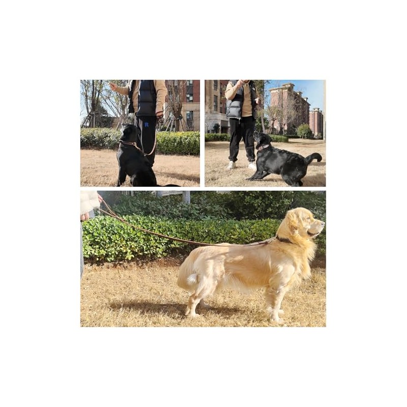 Correa de Cuero para Perros de 1,8 M X 1,9