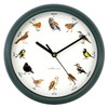 GEEZY Singing Bird Wall Clock, 12 Native Bird Species, Cuckoo