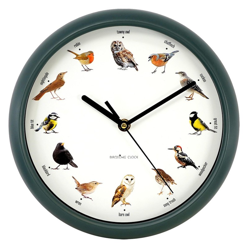 GEEZY Singing Bird Wall Clock, 12 Native Bird Species, Cuckoo