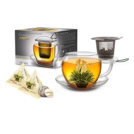 Creano XXL Tea Cup with Handle Jumbo with Integrated Stainless Steel Sieve, Lid and Saucer in A Set with 2 Erbloomteelini, 450Ml- Transparent, 3 Piece Set
