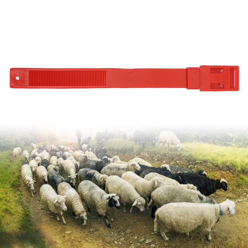 10Pcs Goat Collar Sheep Identification Bands Livestock Marking Ring Farming