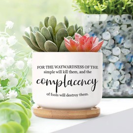 DecStic for The Waywardness of The Simple Will Kill Them Planters Ceramic Bible Verse Round Flower Pot with Drainage Holes and Bamboo Tray Pot for Succulents Cactus Garden Windowsill
