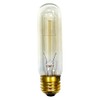 National Artcraft 25 Watt Tube Light Bulb with Standard Edison
