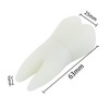 Ulticool - Tooth 8 GB USB - Dentist Dental Hygienist