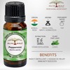 All Naturals 100% Pure Peppermint Essential Oil (Up, India) For