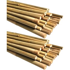 Dlh Western Natural Bamboo Poles, Eco-Friendly Plant Support Garden Stakes 16 Inch Long (50-Count)