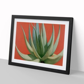 Compelling Aloe Vera Plant H1022 Framed Print for Living Room Bedroom Home Office Décor, Wall Art Picture Ready to Hang, Black A4 Frame (34 x 25 cm)