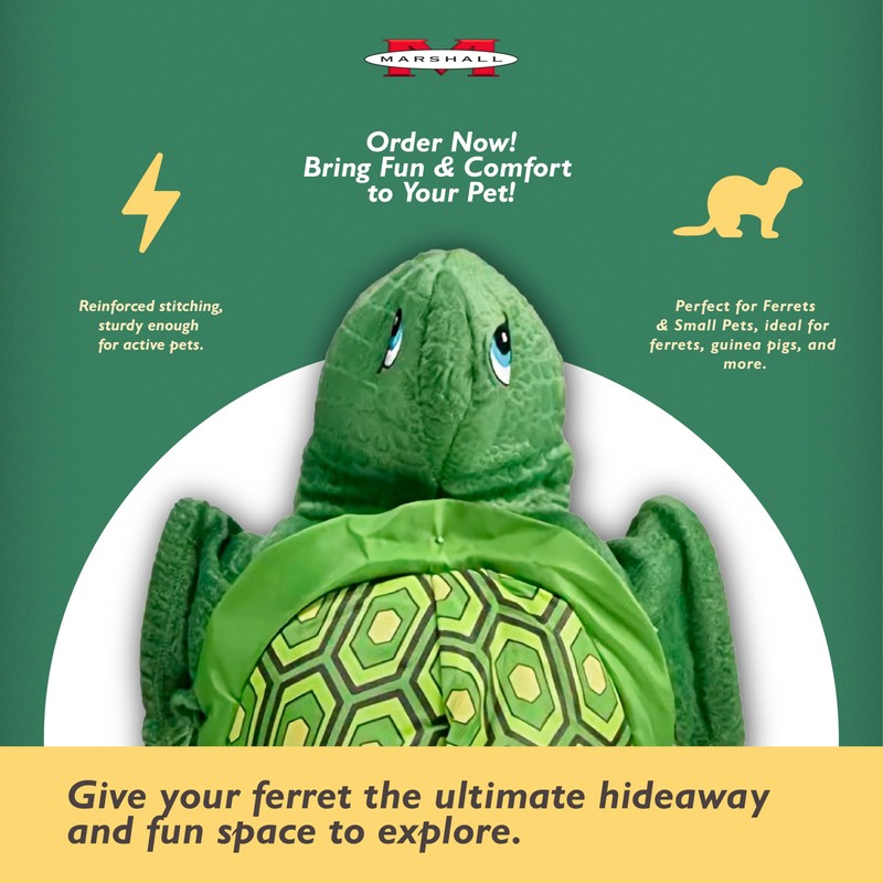 Marshall Pet Turtle Tunnel