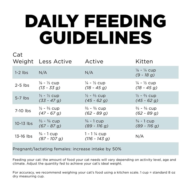 Go! Solutions Digestion + Gut Health Dry Cat Food, Chicken,