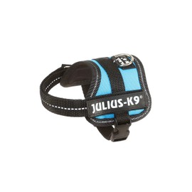 Julius-K9 Powerharness, Baby 1, Aquamarine