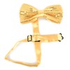 Men's Pre-Tied Shiny Sequin Banded Bow Ties - Fancy Bowties