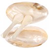 Mother of Pearl Caviar Serving Set - 2 Shell Dishes