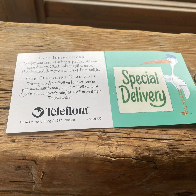 Teleflora Babys First Wagon