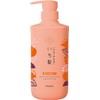 Ichikami Dense W Moisturising Care Hair Shampoo Pump - 480