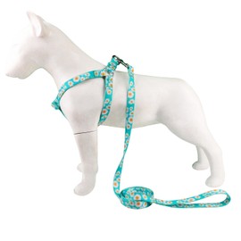 Olahibi Green Daisy Pattern Basic Dog Halter Harness and Leash Set, No Pull, Easy Wear for Small Dogs.(S, Green Daisy)