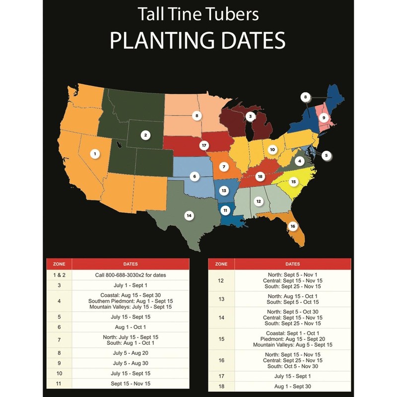 Whitetail Institute Tall Tines Tubers, 12 LB