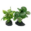 Smoothedo-Pets Aquarium Plants Betta Fish Tank Decorations 4inch/2pcs Soft Silk