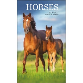 Paper Craft 2026-2027 Value Pocket Calendar for Planning, Scheduling, and Organizing (Horses)