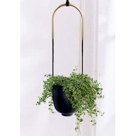 Abetree Metal Hanging Planter for Indoor Outdoor Plants Adjustable Modern Minimalist Wall and Celling Hanging Flower Pot Plant Holder for Succulent , Air Plants Home Decor