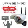 Broadwatch Dummy Camera, LED Light, Outdoor, Motion Sensor, Motion Activated