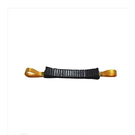 Extension Ladder With Padded Fixed Rung, Stabilizer, Kit, and Pole Attachment