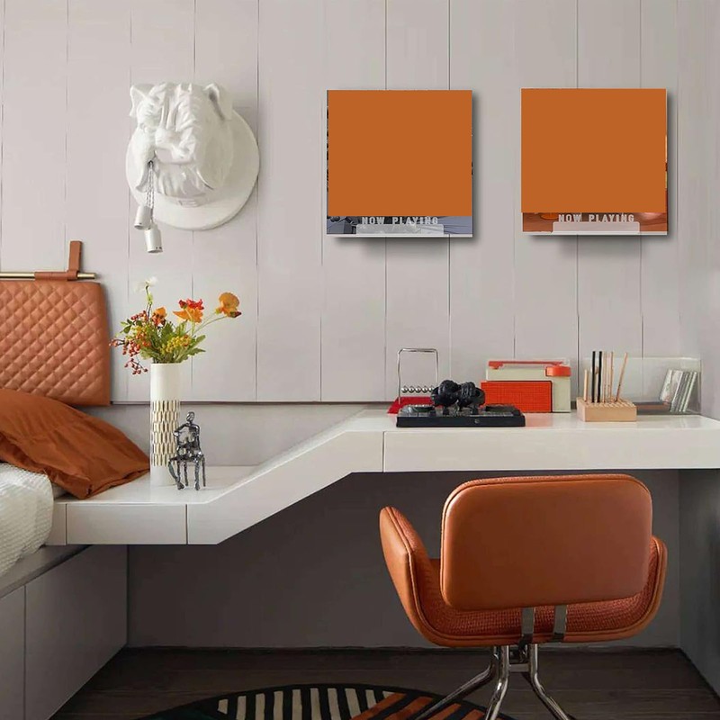 Wall Mount Record Storage Shelf Acrylic Album Record Holder Display