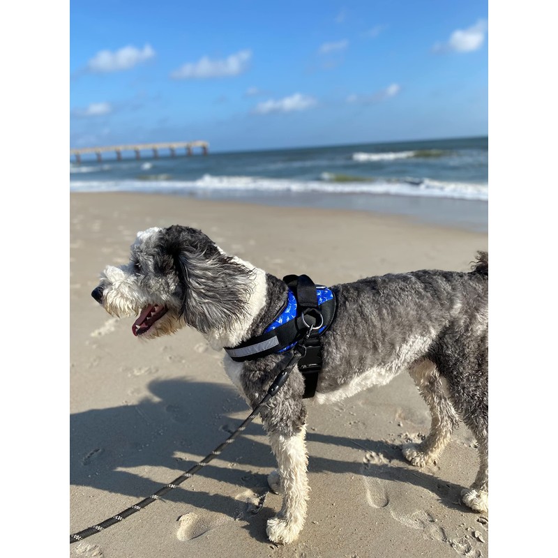 ShawnCo Essential Dog Harness, No-Pull Pet Vest with 3 Leash