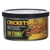Exo Terra Specialty Reptile Food, Canned XL Crickets for Reptiles,