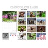 2024 2025 Labrador Chocolate Calendar - Dog Breed Monthly Wall