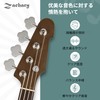 Zachary Acoustic Guitar Strings, 6 String Set, 2 Pack, Folk