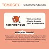 TEMOGEY Daily Moisture Sheet Mask Red Propolis - 7 Sheets