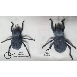 Unbranded Flawed Blue Death Feigning Beatlee (Group of 20!) WHOLESALE PRICE!