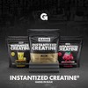 Gains in Bulk Instantized Creatine Monohydrate for Women and Men,