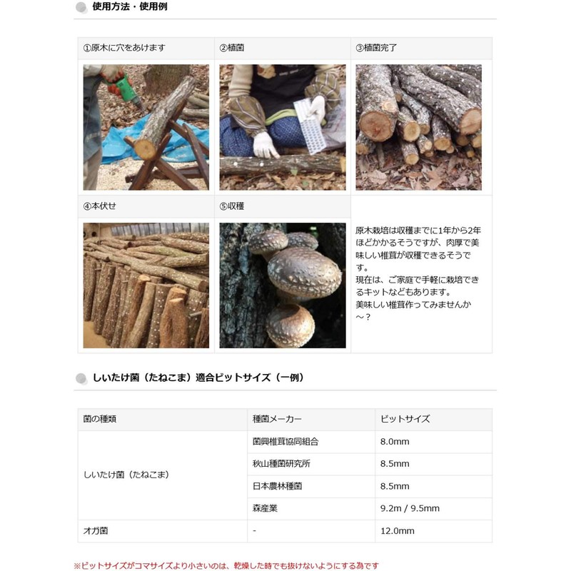 Star-M No.41F Shiitake Bit 0.3 inches (8.5 mm)