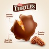Nestle the Original Turtles 100% Pecan 350g/12.34oz Box {Imported from