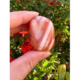 GAF TREASURES 5 Pcs Red Banded Agate Tumbled Stones, Polished Red Banded Agate Gemstone, Red Banded Agate Healing Crystals (Red Banded Agate)