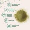 Micro Ingredients Super Greens Powder, 1lb | 100 Superfood Blend