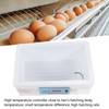 Egg Incubator Small Multifunctional Household Chicken Incubator for Hatching Chick