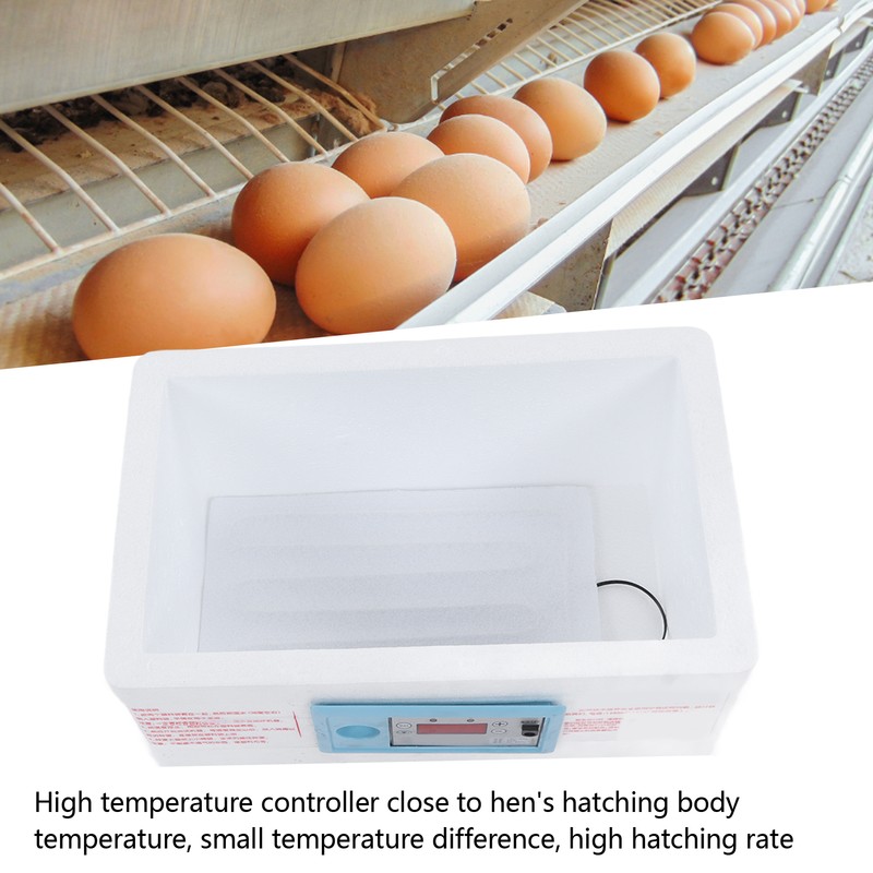 Egg Incubator Small Multifunctional Household Chicken Incubator for Hatching Chick